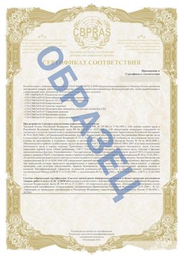 Образец Приложение к СТО 01.064.00220722.2-2020 Хороль Сертификат СТО 01.064.00220722.2-2020 